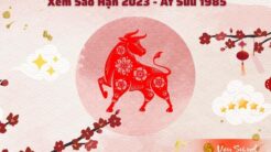 Tử Vi Cho Tuổi Ất Sửu Năm 2023 - Những Dự Đoán Đặc Biệt Cho Nam Mạng