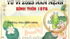 Tử Vi Tuổi Bính Thìn 1976 Năm 2023 Nam Mạng: Những Điều Cần Biết